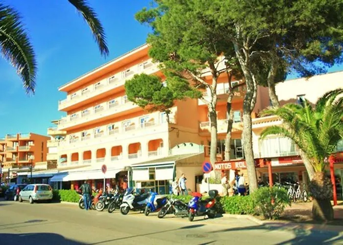 Alzina * Cala Ratjada (Mallorca)