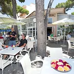 Alzina * Cala Ratjada (Mallorca)