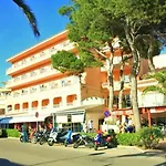 Alzina * Cala Ratjada (Mallorca)
